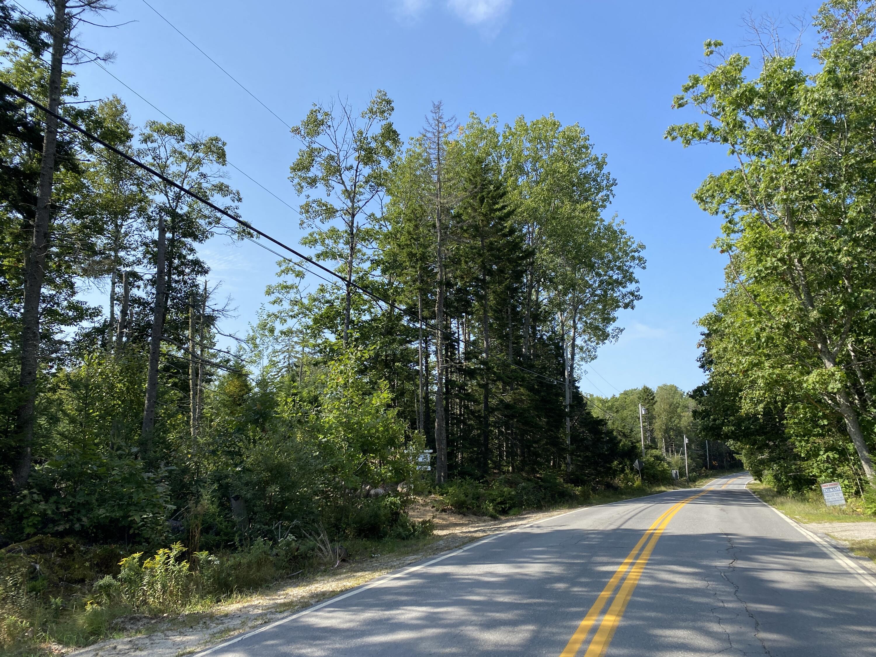 Lot 4 Frank's Flat Road Sedgwick, ME 04676 - Photo 13 of 13 Road shot