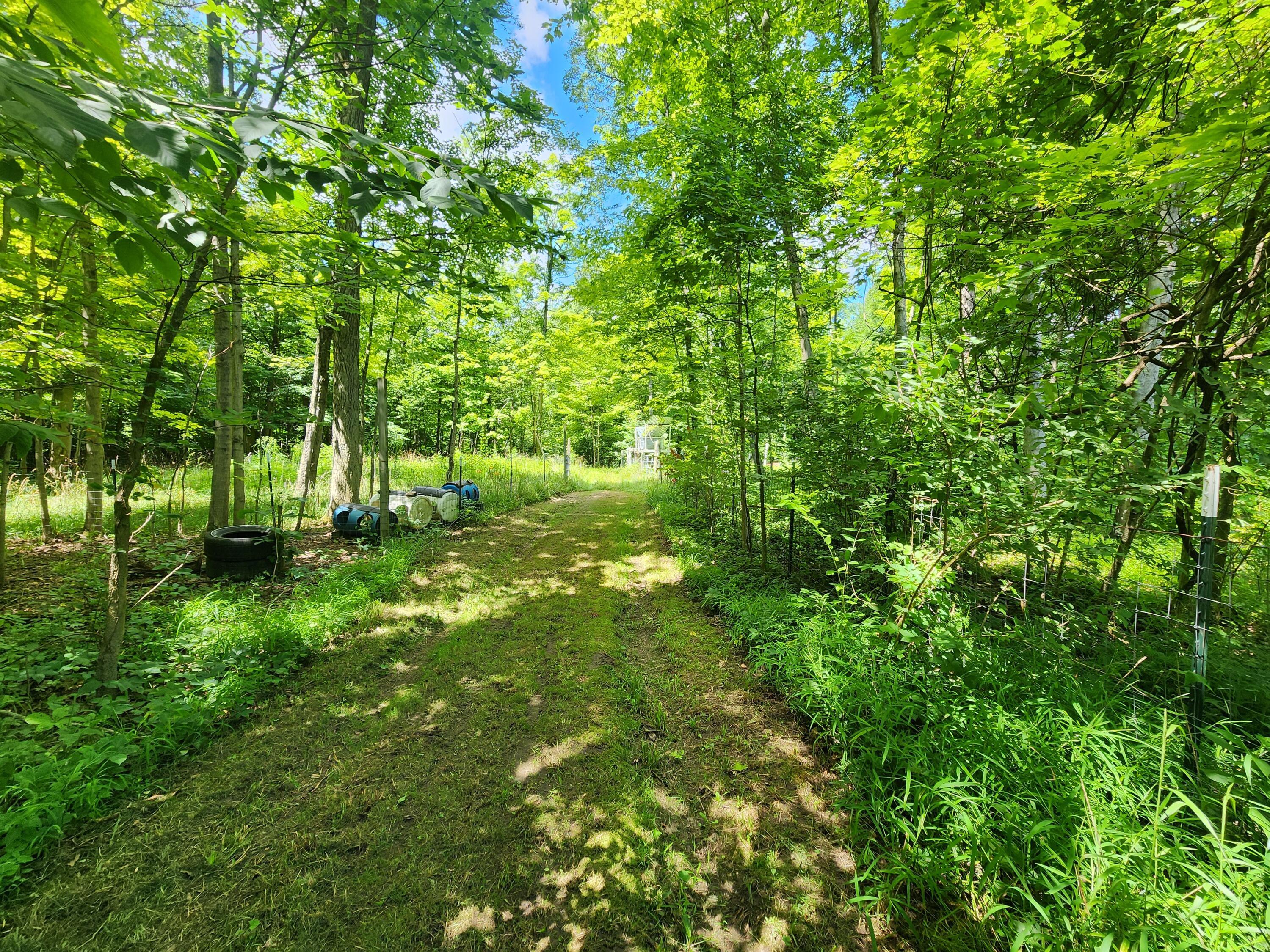 5120 Stetzer Road Bucyrus, OH 44820 - Photo 39 of 57 1000009816