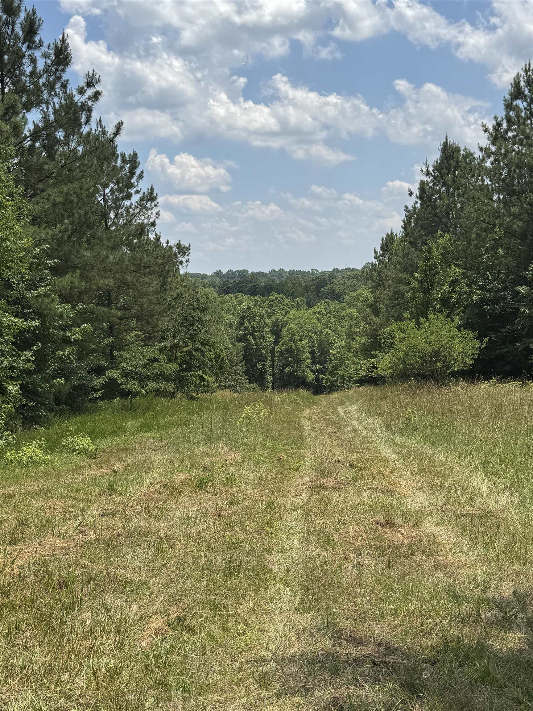 246 Lee Road Jonesville, SC 29353 - Photo 11 of 38
