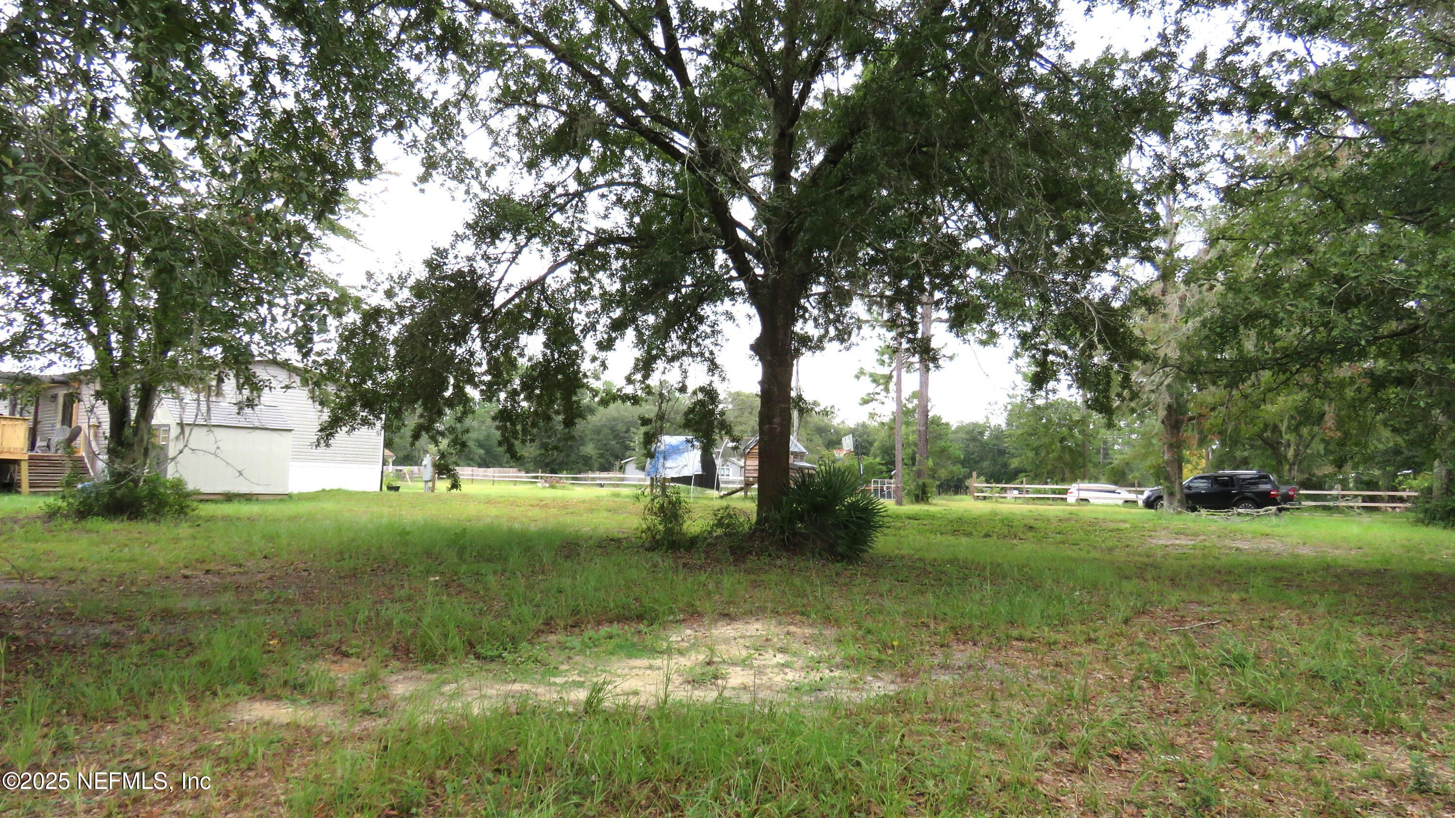 2355 Walters Road Middleburg, FL 32068 - Photo 40 of 63 a view of a trees in a yard