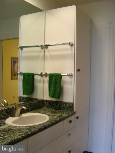 18 3rd Street Southeast, Unit 1B Washington, DC 20003 - Photo 16 of 23 Bath (Master)