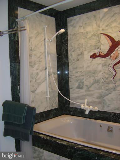 18 3rd Street Southeast, Unit 1B Washington, DC 20003 - Photo 10 of 23 Bath (Master)