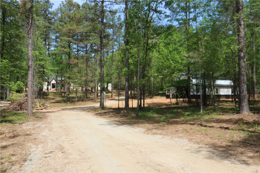 220 Mill Pine Road Liberty, SC 29657 - Photo 8 of 11 This scenic tree-lined property features a tranquil natural environment