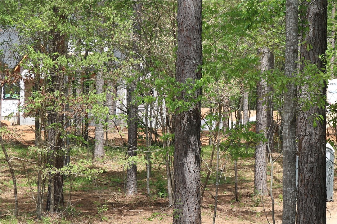 220 Mill Pine Road Liberty, SC 29657 - Photo 9 of 11 A tranquil wooded lot offers a peaceful retreat for your future home