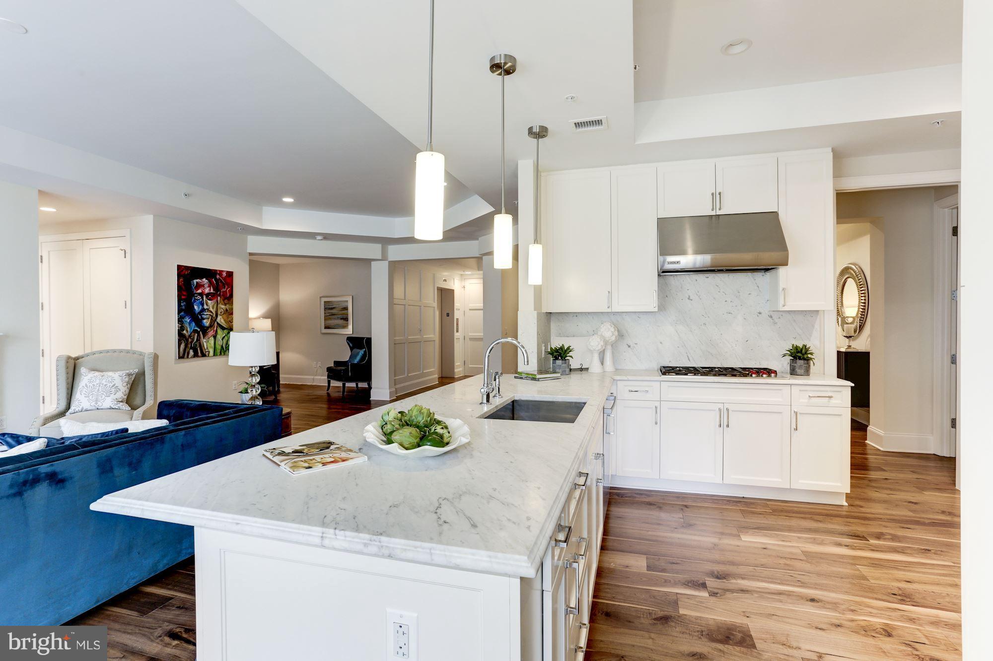 8121 River Road, Unit 422 Bethesda, MD 20817 - Photo 12 of 30 Kitchen
