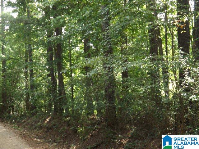 915 Burgett Road Altoona, AL 35952 - Photo 20 of 36