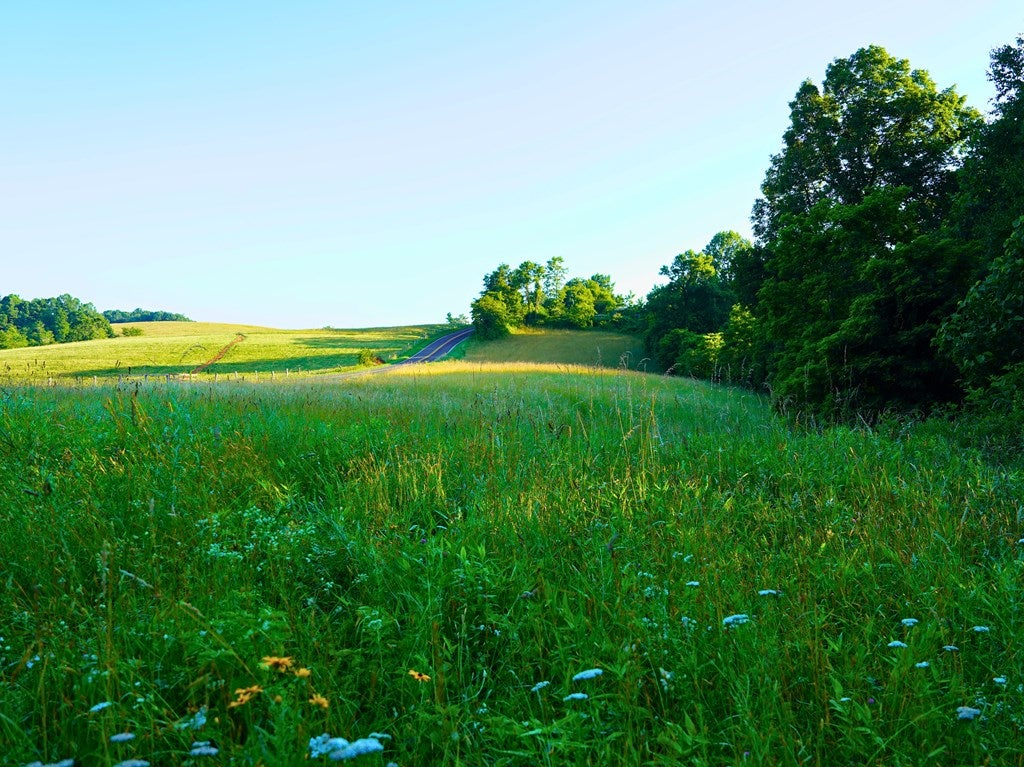 Tbd Bent Road Meadows Of Dan, VA 24120 - Photo 47 of 53 Gallery Image 47
