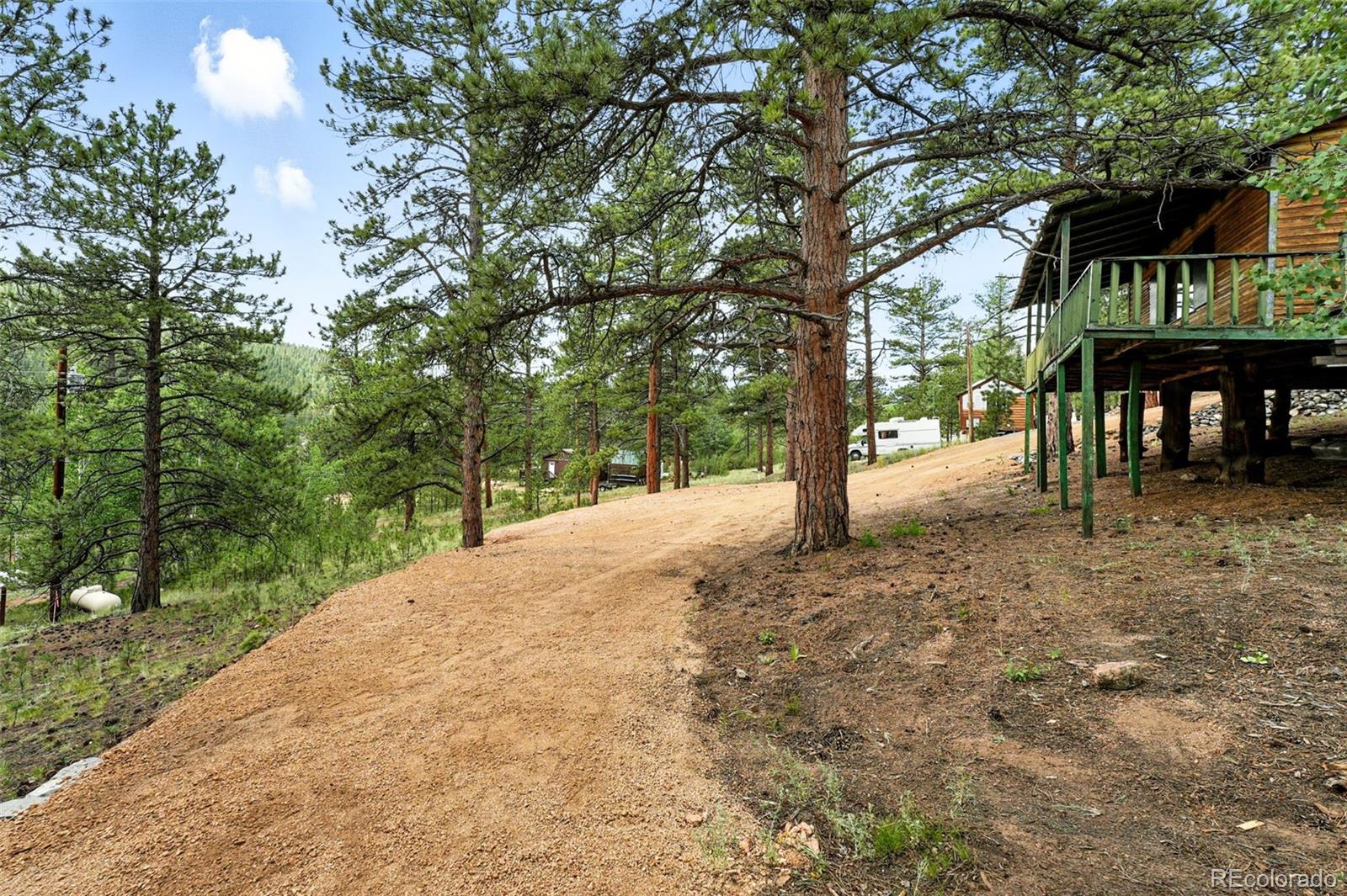 132 Jones Road Bailey, CO 80421 - Photo 19 of 38