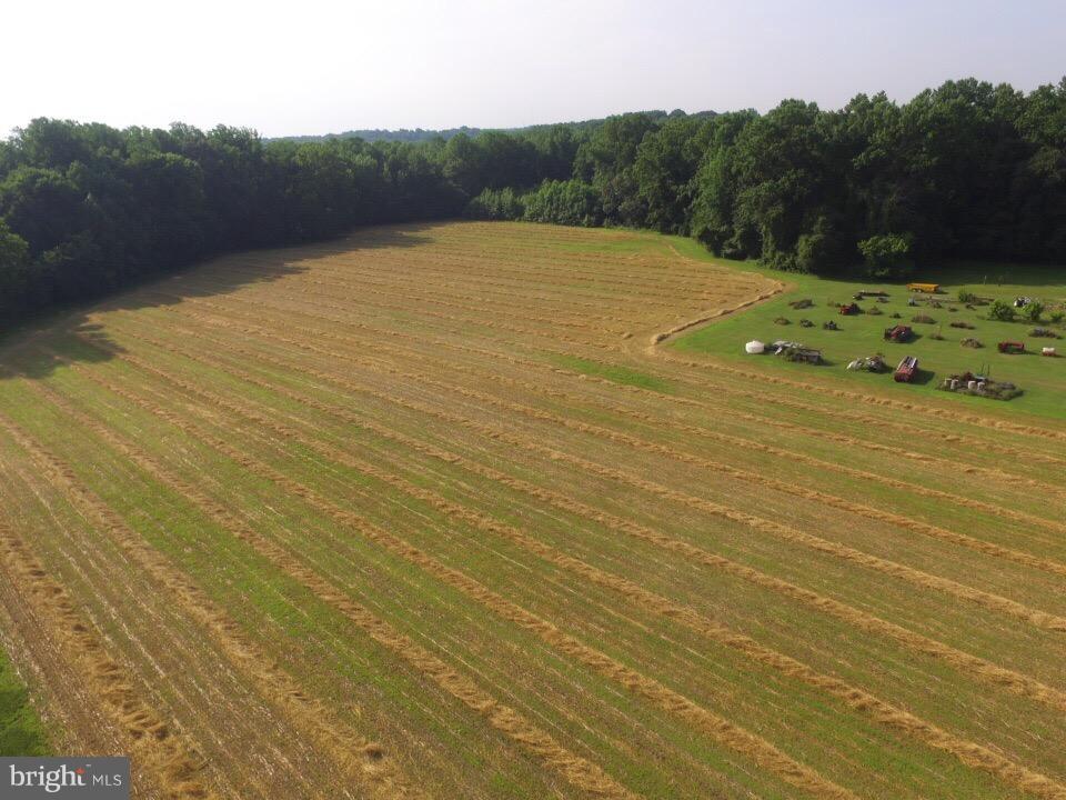 Beards Point Road Davidsonville, MD 21035 - Photo 5 of 15 Serene area centrally Located.