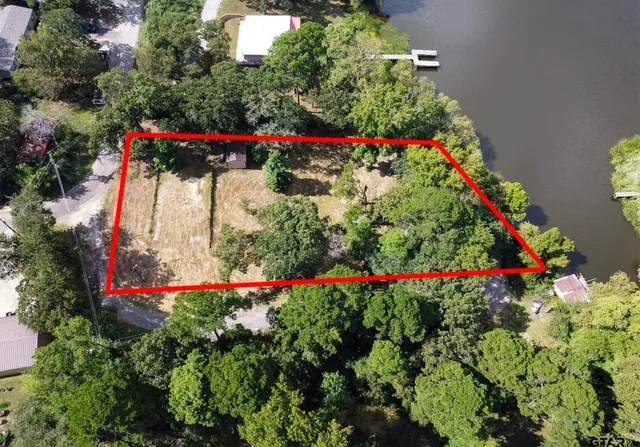 a view of a potted flower in a yard