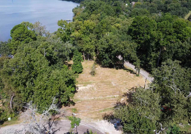 a view of a yard with plants and flowers