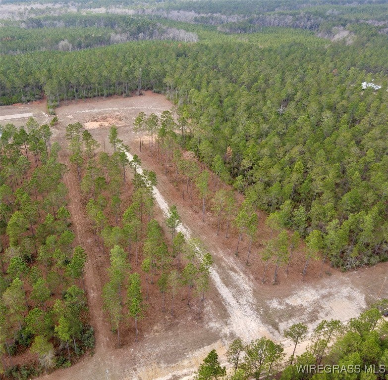 18755 Catherine Bailey Road Andalusia, AL 36420 - Photo 1 of 14 Gallery Image 1