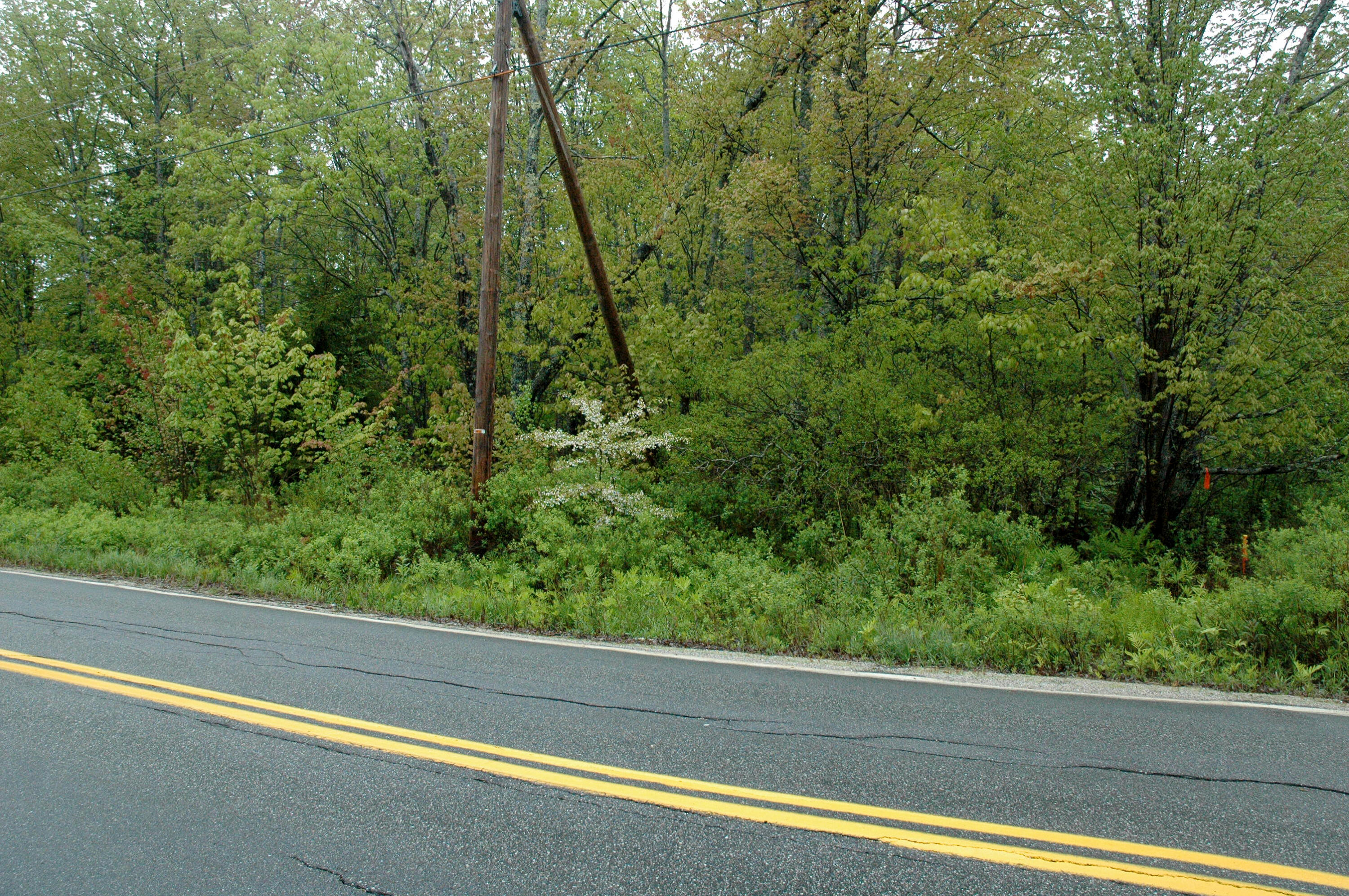 175 - Reach Road Brooklin, ME 04616 - Photo 3 of 14 00 Reach Road_Brooklin_003