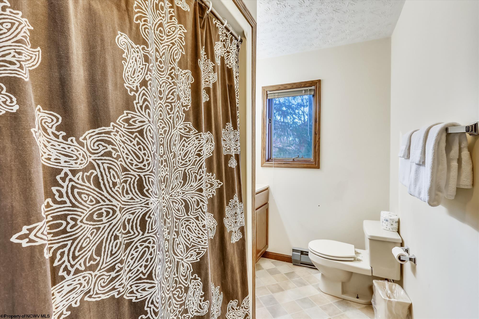 414 Brookside Road Davis, WV 26260 - Photo 19 of 26 Gallery Image 19