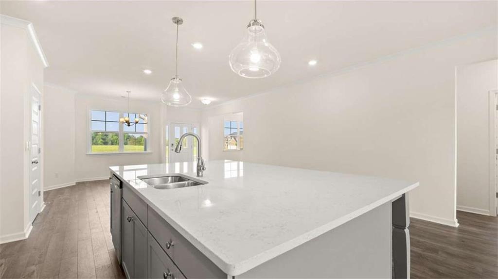 1812 Quaker Street Hampton, GA 30228 - Photo 13 of 53 a kitchen with a sink a counter space and wooden floor