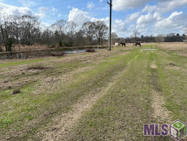 23875 Riley Road Pride, LA 70770 - Photo 2 of 6 Gallery Image 2