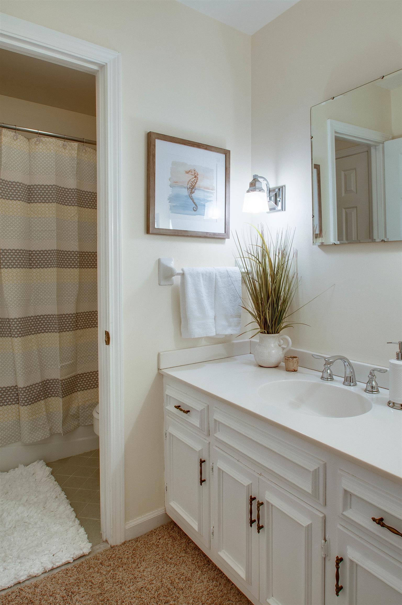 850 General George Patton Road, Unit 850 Nashville, TN 37221 - Photo 17 of 25 a bathroom with a sink and a mirror