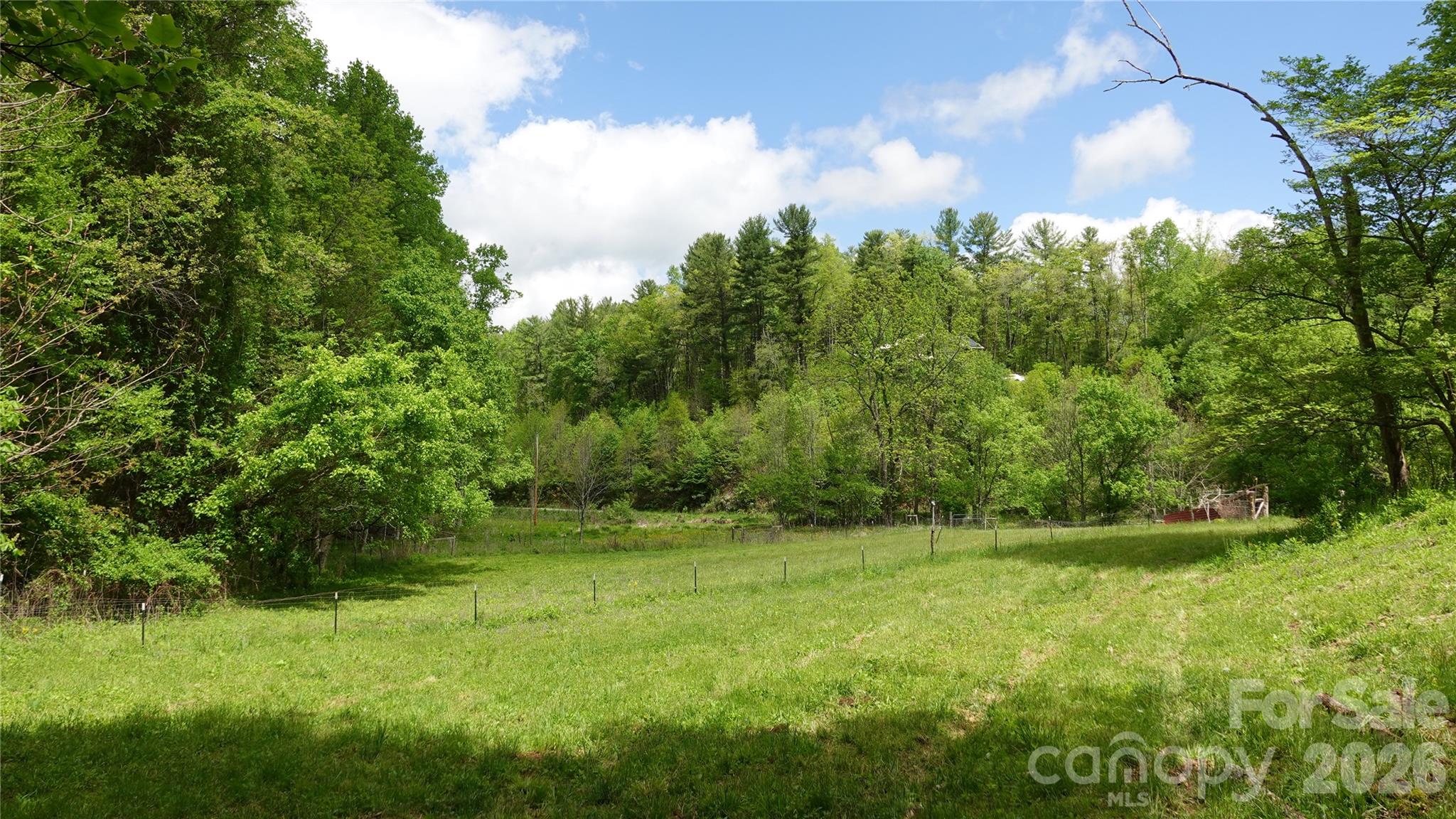3151 Lumptown Road Marshall, NC 28753 - Photo 46 of 48 a view of outdoor space with deck and yard