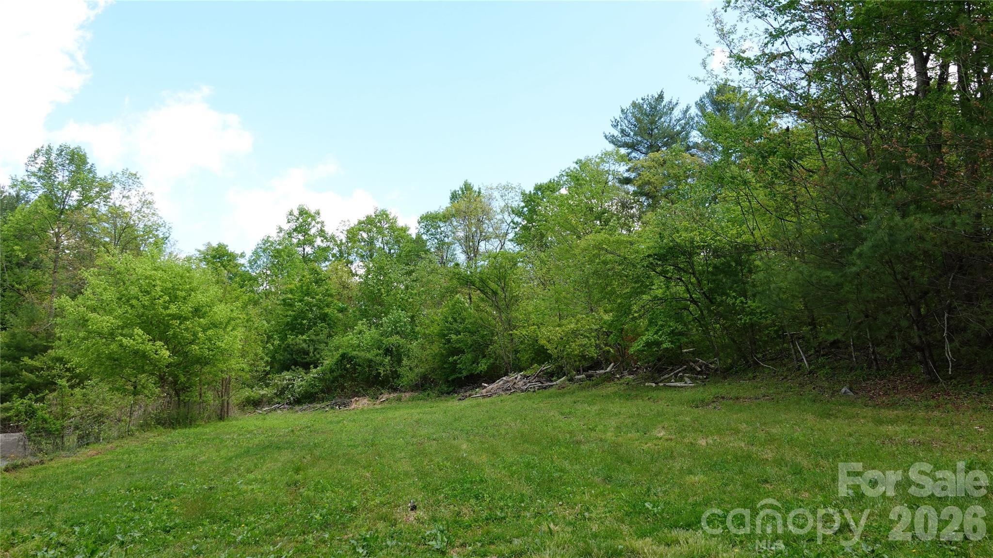 3151 Lumptown Road Marshall, NC 28753 - Photo 47 of 48 a view of an outdoor space and a yard