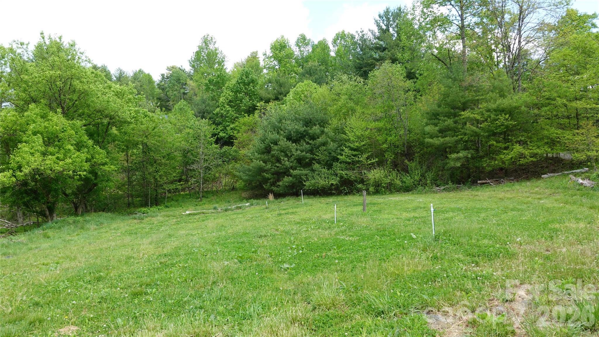 3151 Lumptown Road Marshall, NC 28753 - Photo 48 of 48 a view of a grassy field with trees