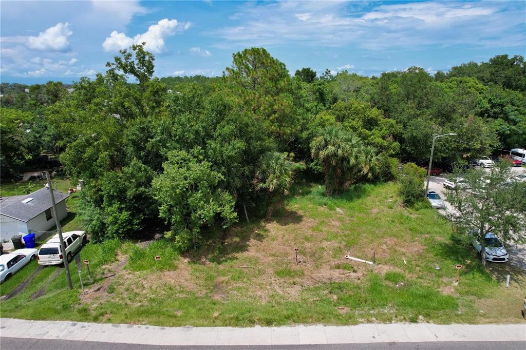 319 West Silver Star Road Ocoee, FL 34761 - Photo 4 of 24 Gallery Image 4