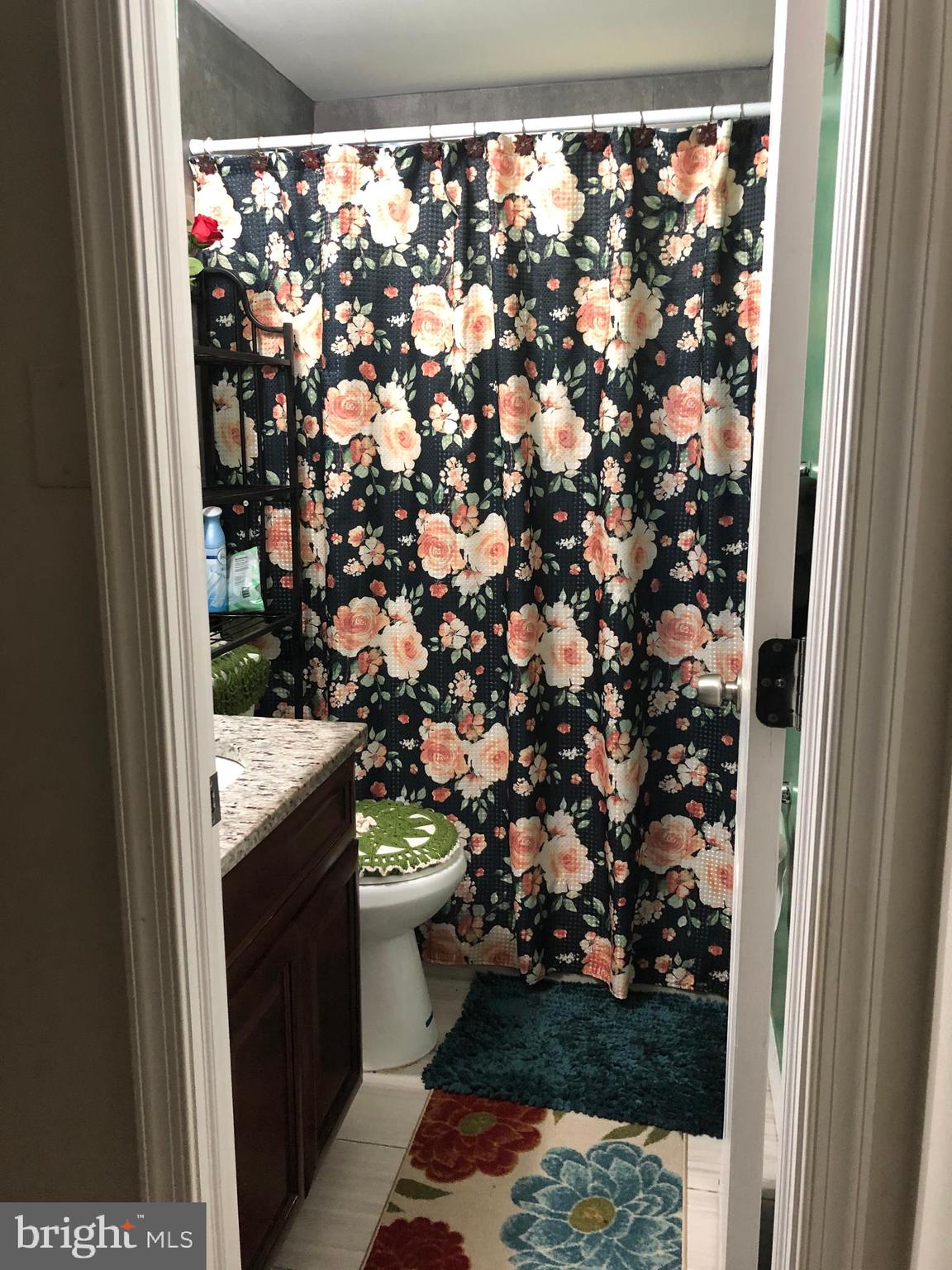 9504 Braddock Road Fairfax, VA 22032 - Photo 45 of 49 Full Bath in Basement