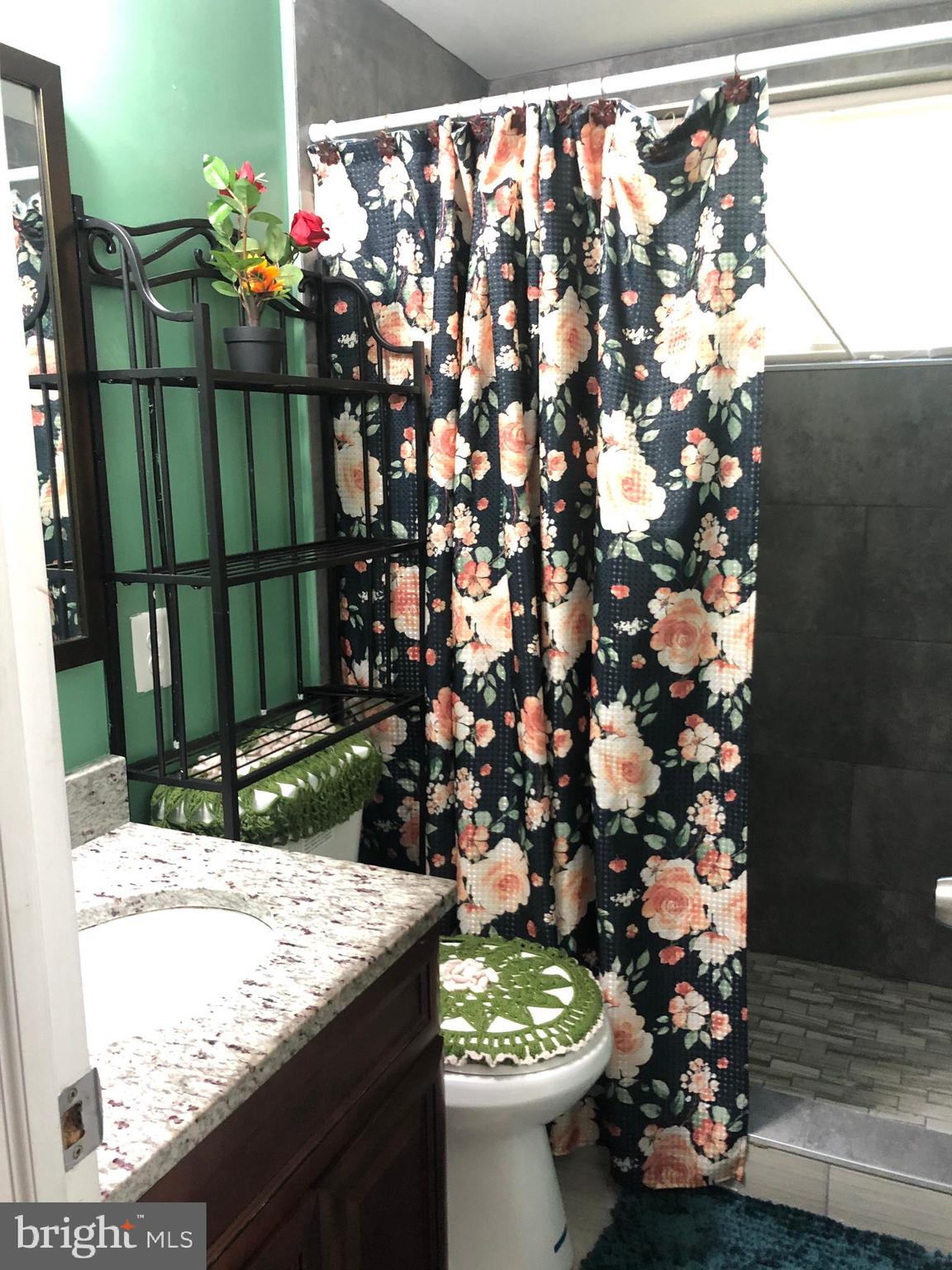 9504 Braddock Road Fairfax, VA 22032 - Photo 46 of 49 Full Bath in Basement