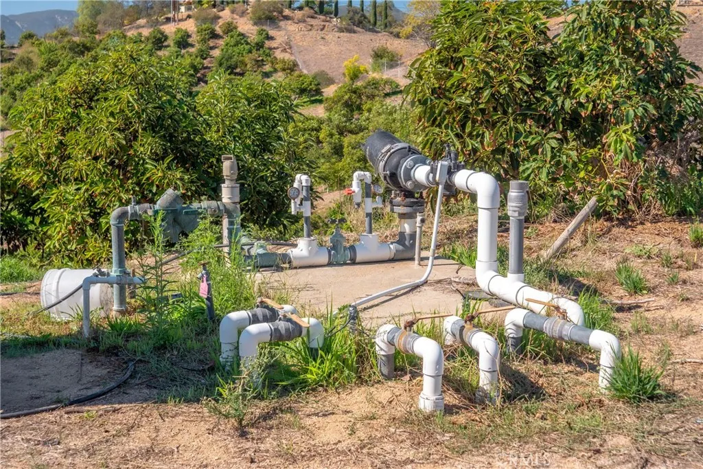 39238 Daily Fallbrook, CA 92028 - Photo 15 of 16 a view of a park with plants and trees