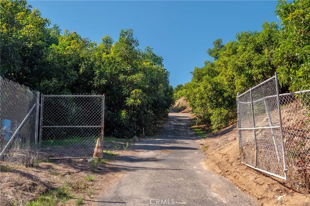 39238 Daily Fallbrook, CA 92028 - Photo 9 of 16 a backyard of a house with lots of green space
