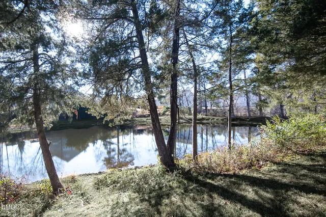 a view of a lake in middle of forest