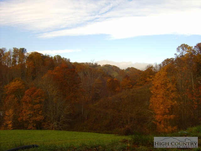 399 Frank Wilson Road Vilas, NC 28692 - Photo 14 of 21 Gallery Image 14