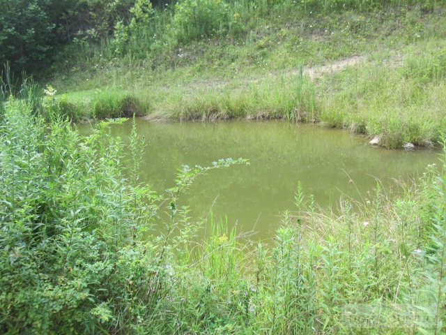 399 Frank Wilson Road Vilas, NC 28692 - Photo 19 of 21 Gallery Image 19