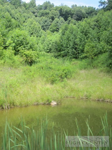 399 Frank Wilson Road Vilas, NC 28692 - Photo 20 of 21 Gallery Image 20