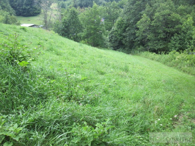 399 Frank Wilson Road Vilas, NC 28692 - Photo 6 of 21 Gallery Image 6