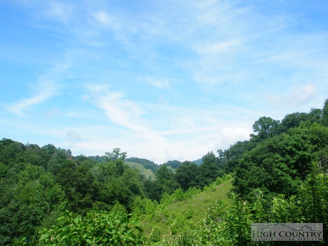 399 Frank Wilson Road Vilas, NC 28692 - Photo 9 of 21 Gallery Image 9