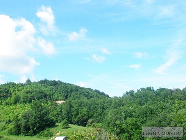 399 Frank Wilson Road Vilas, NC 28692 - Photo 10 of 21 Gallery Image 10