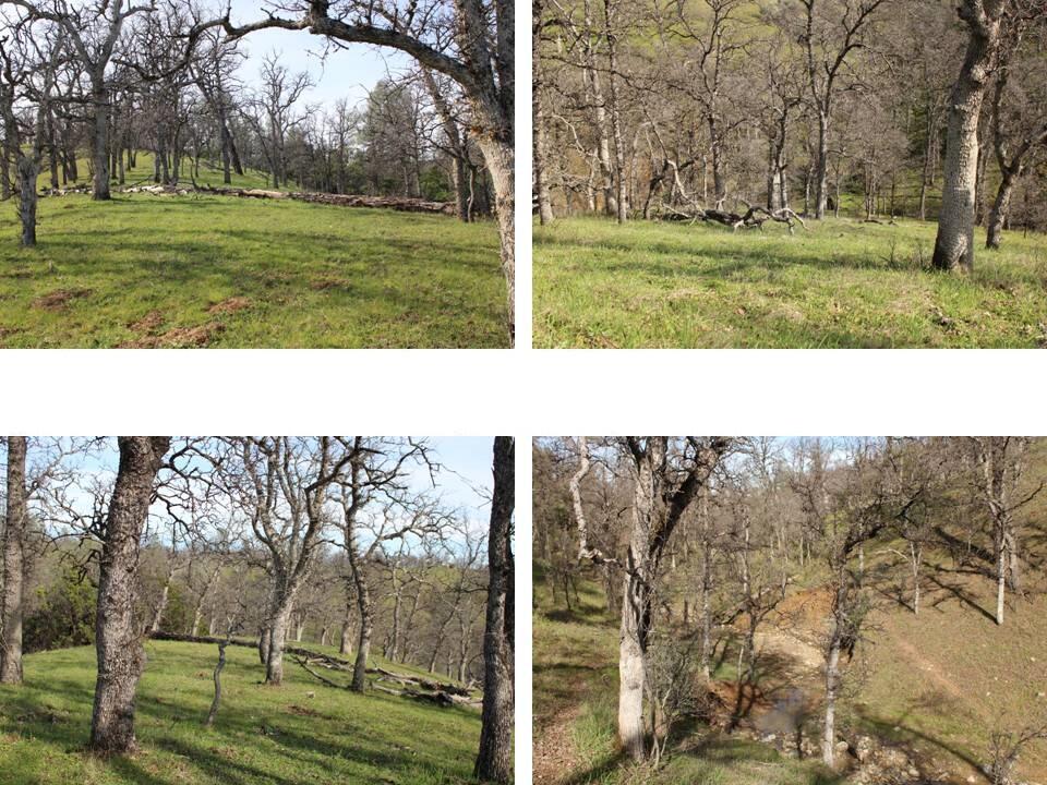 11500 Cool Spring Court Red Bluff, CA 96080 - Photo 1 of 15 Property for Sale - 021-150-026 - Kimber