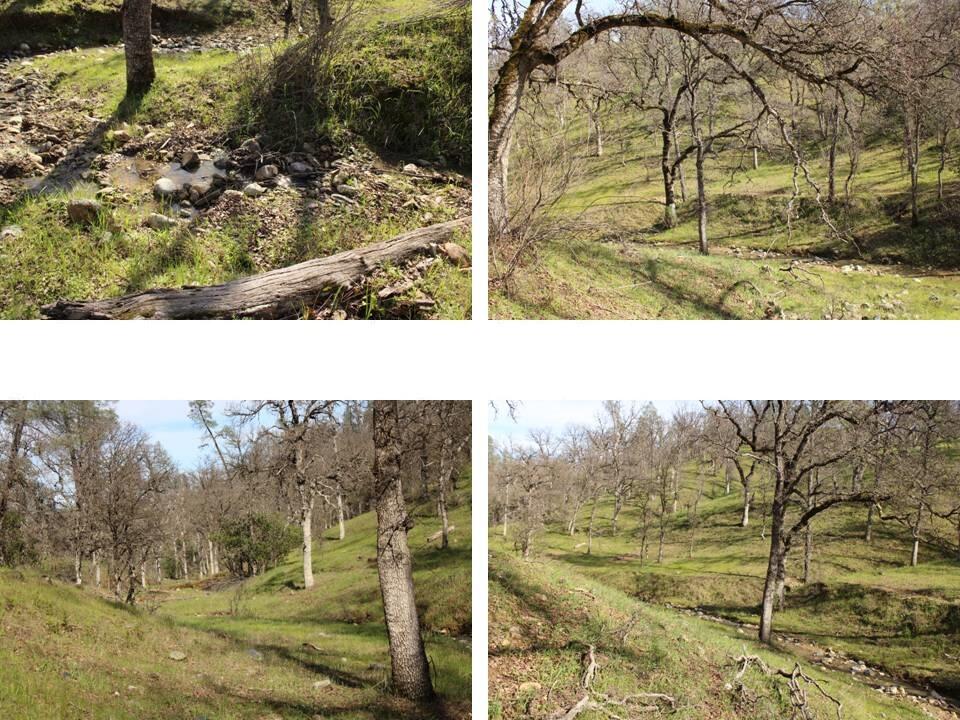 11500 Cool Spring Court Red Bluff, CA 96080 - Photo 4 of 15 Property for Sale - 021-150-026 - Kimber