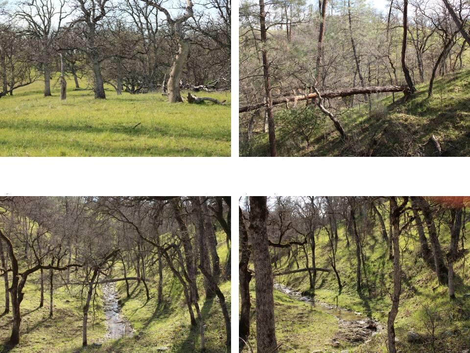 11500 Cool Spring Court Red Bluff, CA 96080 - Photo 5 of 15 Property for Sale - 021-150-026 - Kimber