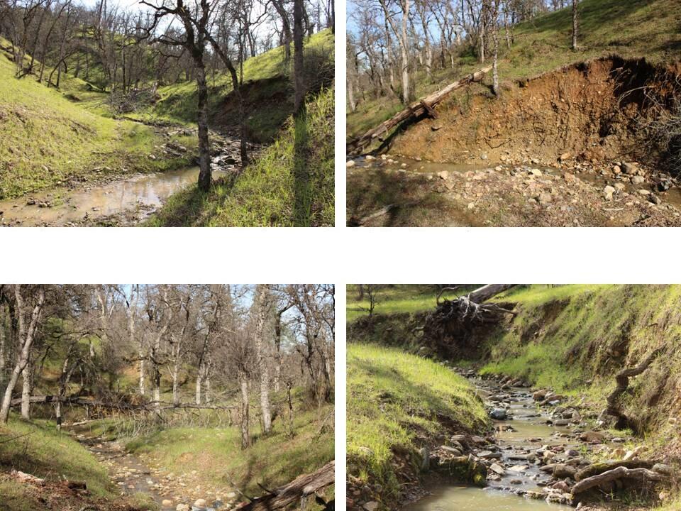 11500 Cool Spring Court Red Bluff, CA 96080 - Photo 6 of 15 Property for Sale - 021-150-026 - Kimber