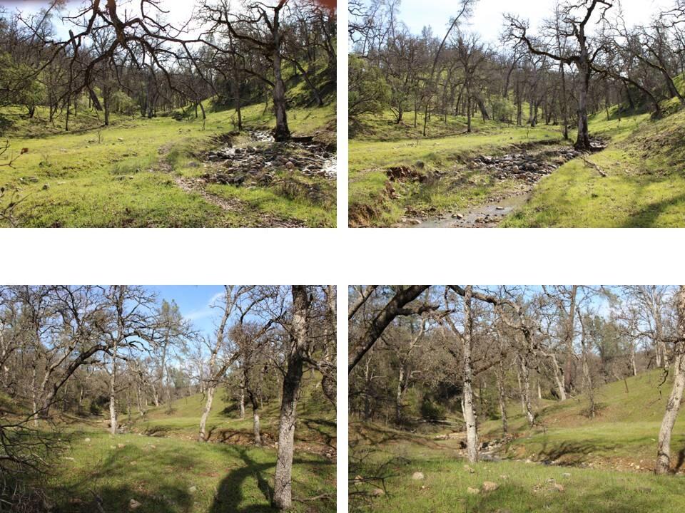 11500 Cool Spring Court Red Bluff, CA 96080 - Photo 7 of 15 Property for Sale - 021-150-026 - Kimber