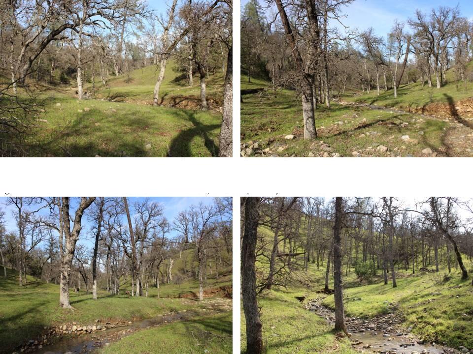 11500 Cool Spring Court Red Bluff, CA 96080 - Photo 8 of 15 Property for Sale - 021-150-026 - Kimber