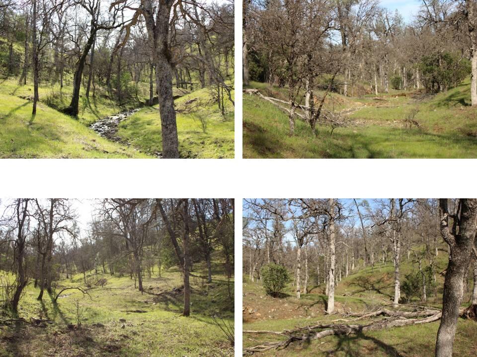 11500 Cool Spring Court Red Bluff, CA 96080 - Photo 10 of 15 Property for Sale - 021-150-026 - Kimber