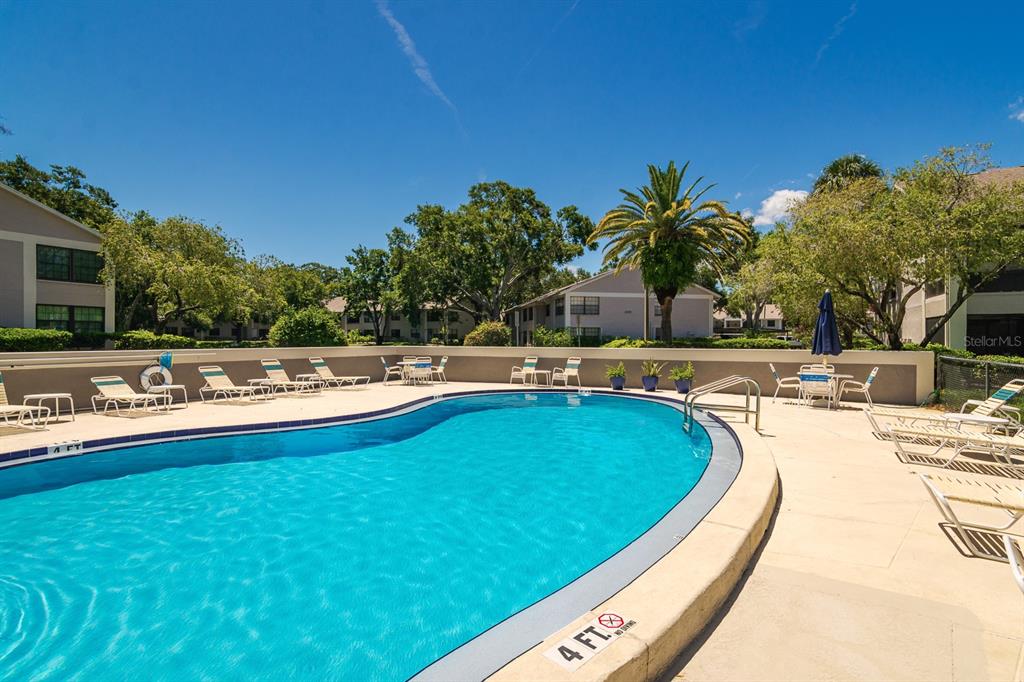 2188 Elm Street, Unit 1107 Dunedin, FL 34698 - Photo 34 of 37