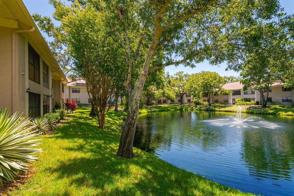 2188 Elm Street, Unit 1107 Dunedin, FL 34698 - Photo 35 of 37