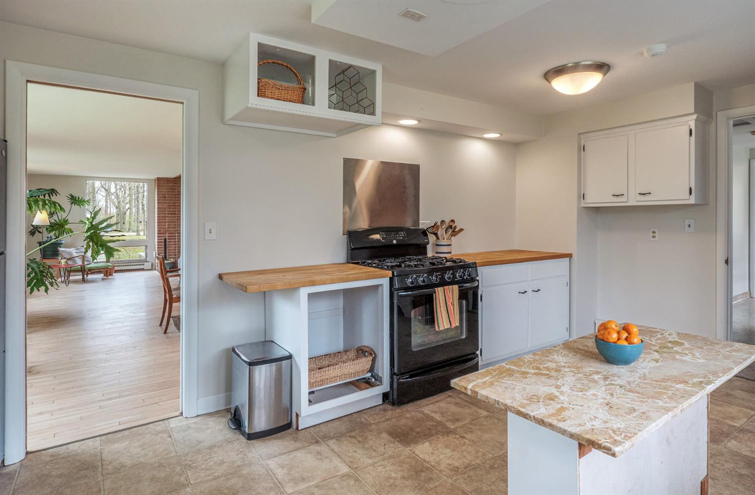 2580 Craig Road Ann Arbor, MI 48103 - Photo 20 of 50 Photo 20