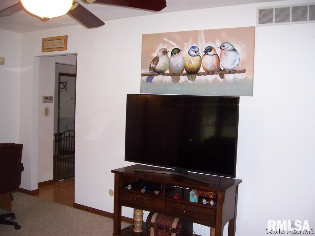 13677 Harris Road Athens, IL 62613 - Photo 14 of 34 Gallery Image 14
