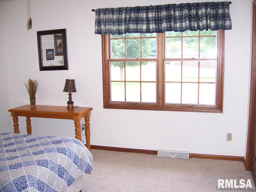 13677 Harris Road Athens, IL 62613 - Photo 19 of 34 Gallery Image 19