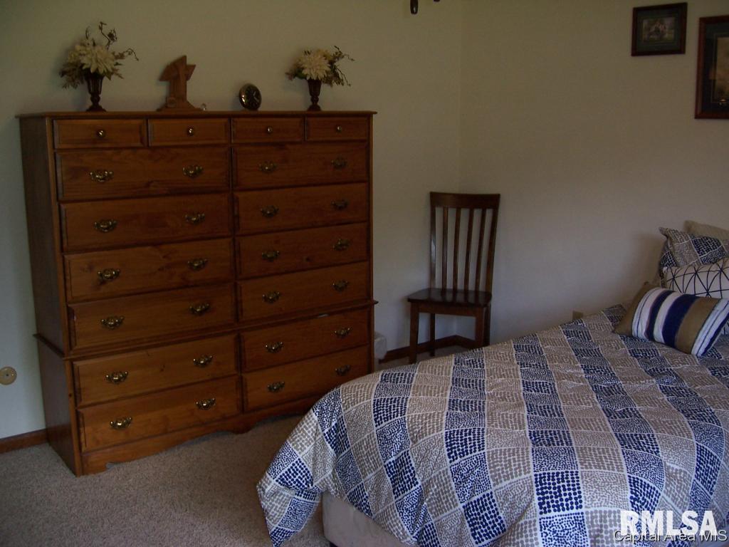 13677 Harris Road Athens, IL 62613 - Photo 20 of 34 Gallery Image 20