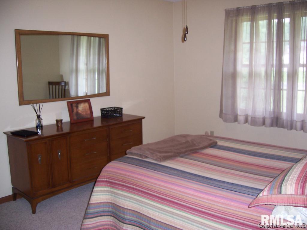 13677 Harris Road Athens, IL 62613 - Photo 22 of 34 Gallery Image 22